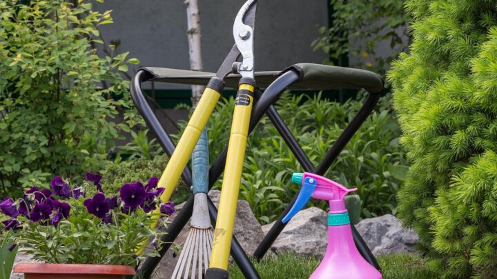 Wohin eigentlich mit den Gartengeräten am Ferienhaus?